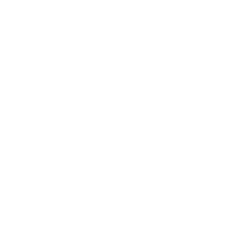 High Level IT Services